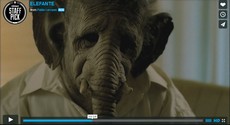 Video na neděli: Slon